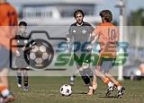 IMG Cup - Asphalt Green SC vs Charlotte Eagles