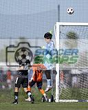 IMG Cup - Asphalt Green SC vs Charlotte Eagles