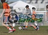 IMG Cup - Asphalt Green SC vs Charlotte Eagles