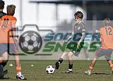 IMG Cup - Asphalt Green SC vs Charlotte Eagles