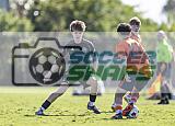 IMG Cup - Asphalt Green SC vs Charlotte Eagles