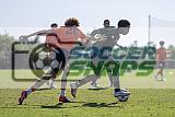 IMG Cup - Asphalt Green SC vs Charlotte Eagles