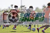 IMG Cup - Asphalt Green SC vs Charlotte Eagles